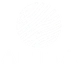 Aniba Digital logosu